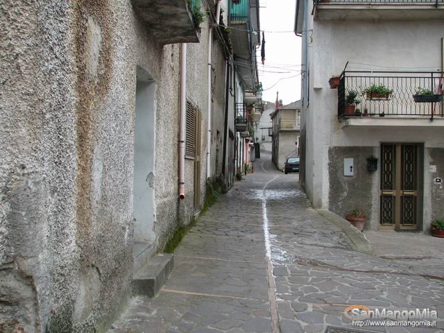 Rughe suprane 007